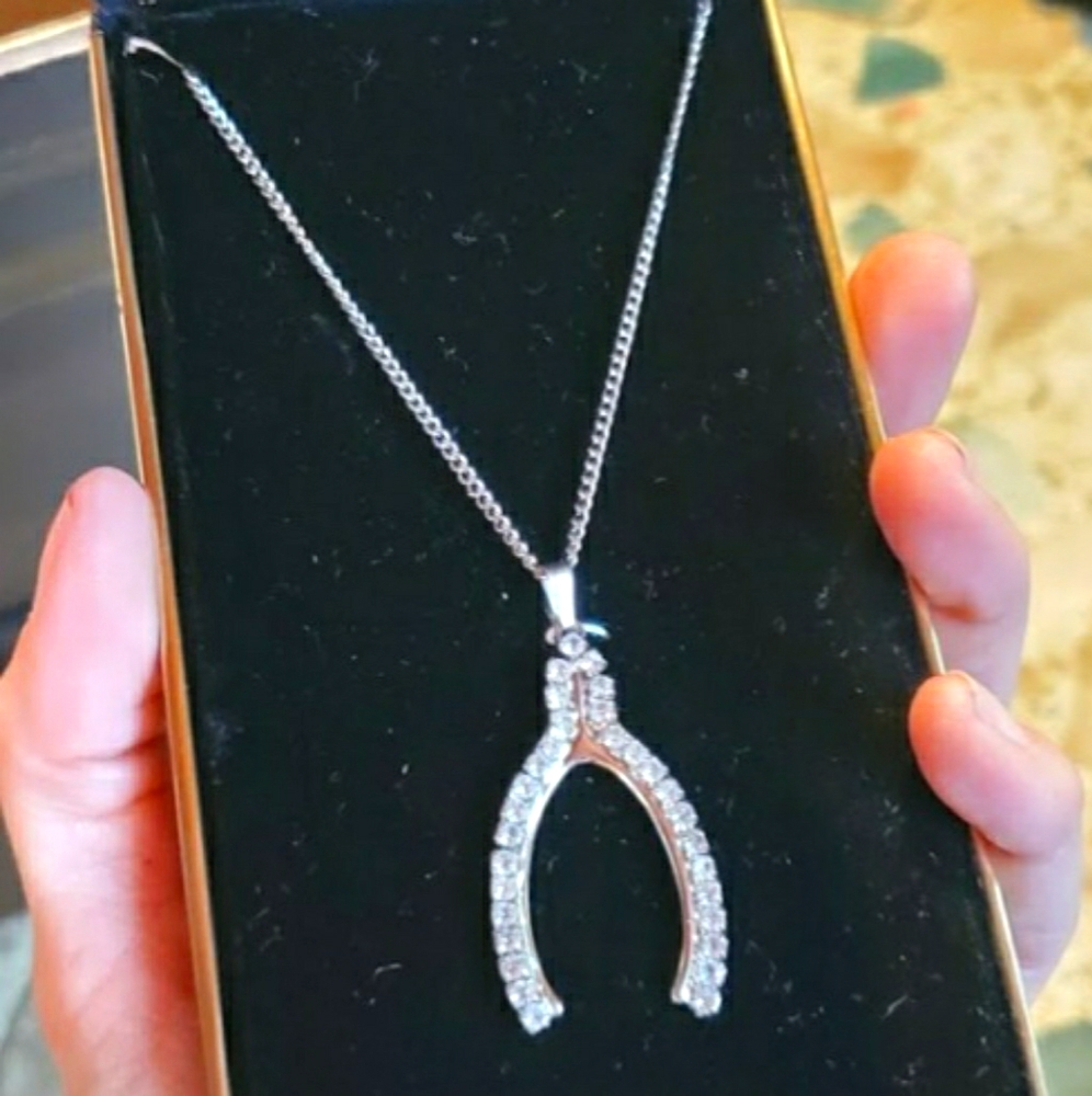 Wishbone necklace